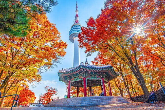 7 days Flexible Tour for Major Cities(Seoul,Busan,Gyeongju) - Who is This Tour Best For?