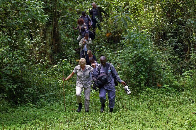 7 Days Flying Gorillas and Wildlife Safari Uganda Private Tour - Practical Considerations and Value