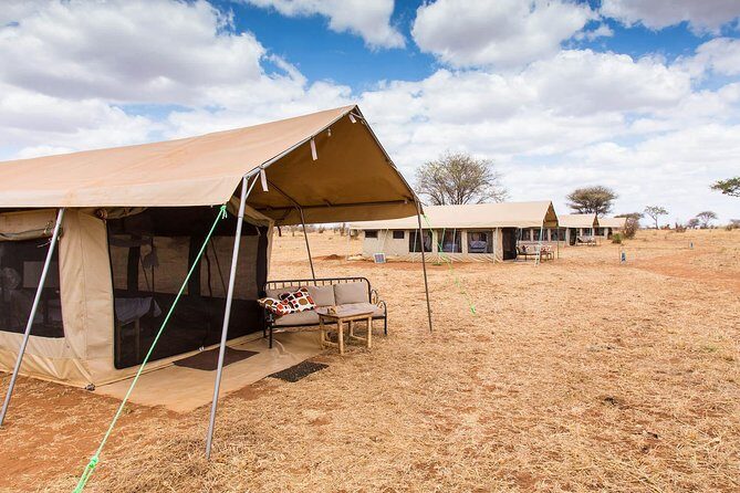 7 Days Group Camping Tarangire/Serengeti/Ngorongoro Crater and Lake Manyara - The Full Experience: A Deep Dive into Each Day