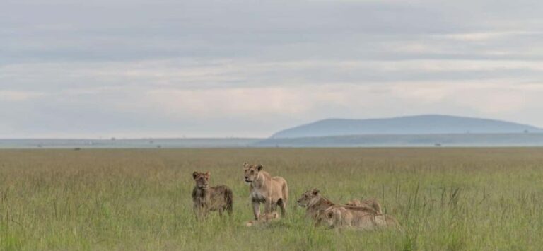 7 Days Highlight Of Kenya Urban & Bush Safari - What Makes This Tour Special?