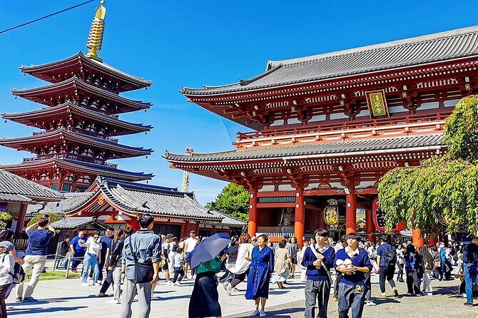 7 Days Japan Classic Mini Group Tour with Mt. Fuji - Value and Price: Is It Worth It?