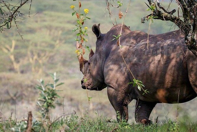 7 Days Kenya Tour Budget Safari - Final Thoughts