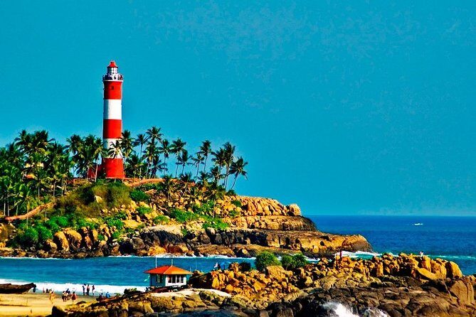 7-Days Kerala Luxury Tour from Cochin - Final Thoughts