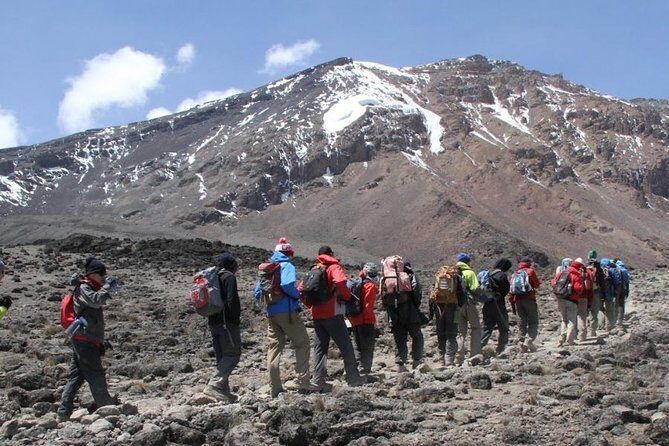 7 Days Kilimanjaro Climb Machame Route - The Itinerary Breakdown: From Rainforest to Summit