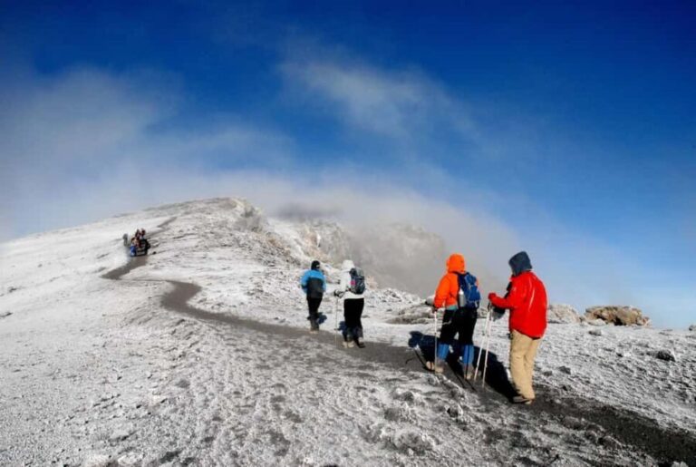 7 Days Kilimanjaro Climb via Lemosho Route - What to Know Before You Go