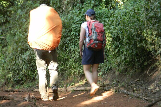 7 Days Kilimanjaro Climbing | Hiking Tour via the Lemosho Route - Why This Tour Offers Good Value