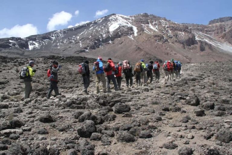 7 Days Kilimanjaro Climbing Machame Route - Who Should Consider This Climb?