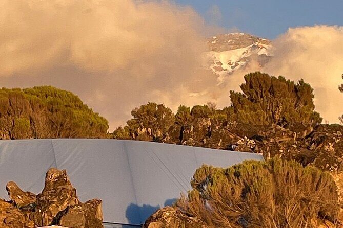 7 Days Kilimanjaro Trekking Machame Route - The Supportive Guides and Their Role
