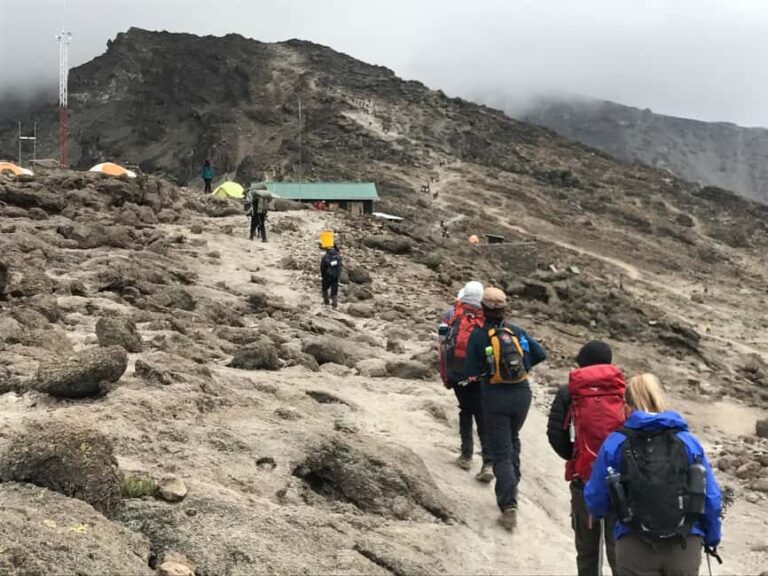 7 Days Machame Route - The Itinerary Breakdown: What to Expect Each Day