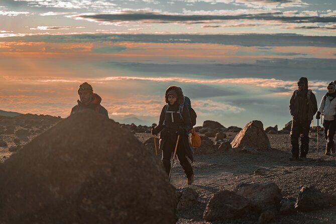 7 Days Machame route - Kilimanjaro - In-Depth Itinerary Breakdown