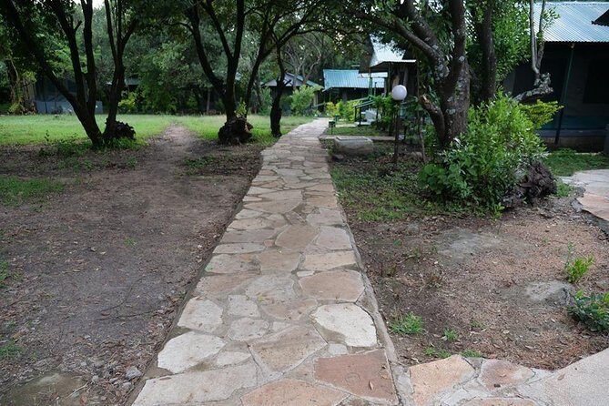 7 Days Mara/L.Naivasha/L.Nakuru/Amboseli - Final Thoughts