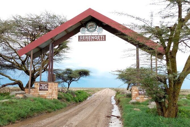 7 days Mt Kilimanjaro,Tarangire NP, Ngorongoro, Serengeti NP, Lake Manyara NP - What Makes This Tour Stand Out?