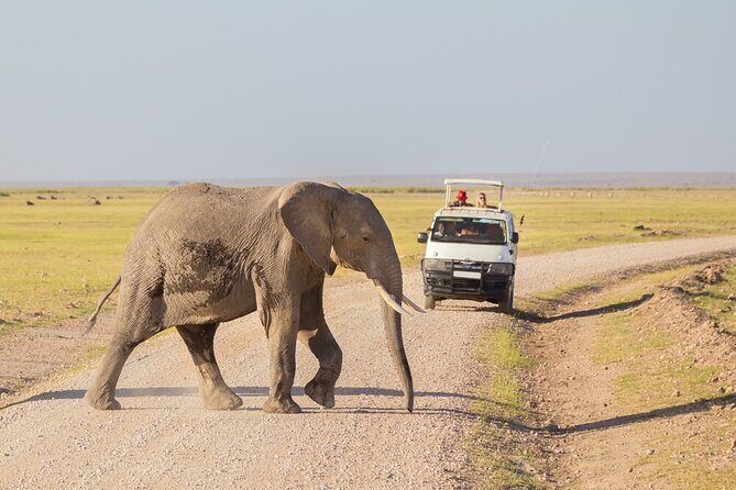7 Days of Elephants, Rhinos & Big Five: The Best of Kenya Safari - What Do Reviewers Say?