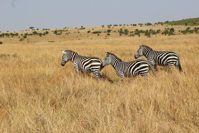 7 Days of Kenyan Wonders: A Mid-Range Safari Adventure - Detailed Breakdown of the Itinerary