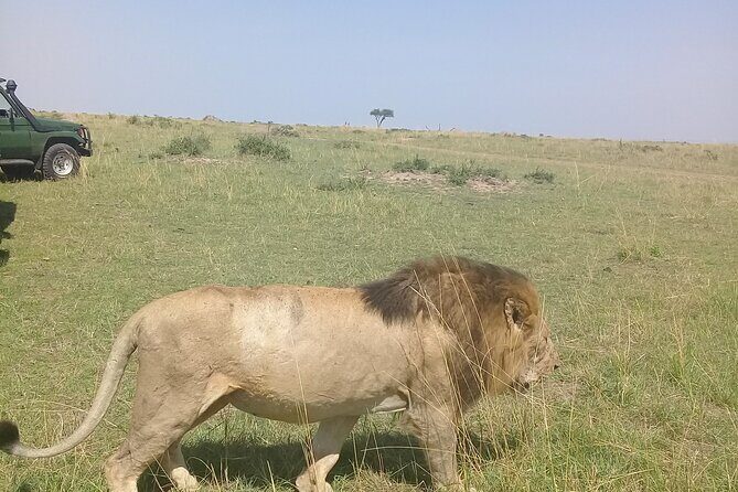7 Days Private 4 star lodges Safari by LandCruiser from Nairobi - Why This Safari Offers Great Value for Your Money
