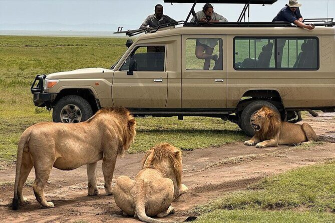 7 Days Private safari Tour in Tanzania - Authenticity and practical considerations