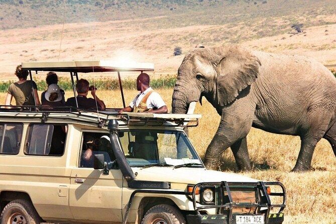 7 Days Private Tanzania Safari - FAQs