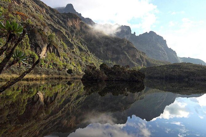 7 Days Rwenzori Summit (Margherita Peak) Hike - Detailed Breakdown of the Itinerary