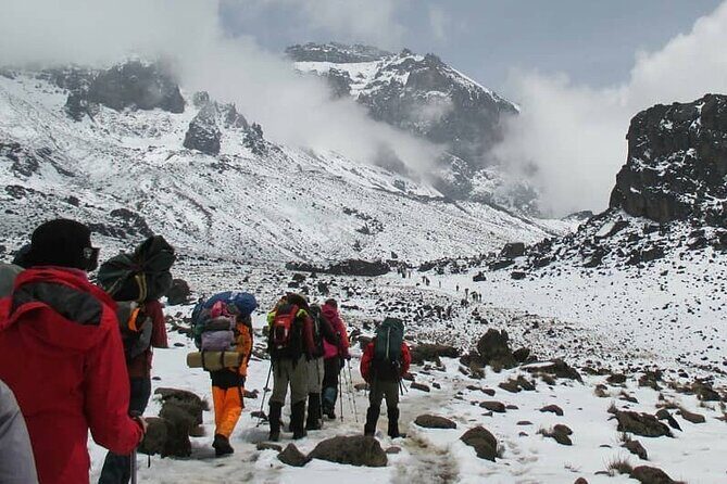 7-Days Tour Mount Kilimanjaro Trekking via Machame Route - What the Tour Includes and What to Keep in Mind