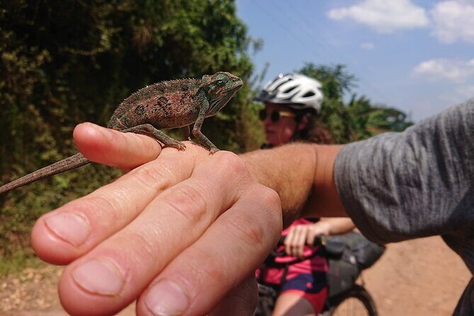 7 Hours Guided Cycling Tour to Sezibwa Waterfalls - Logistics and What’s Included