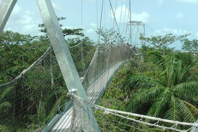 7 Hours Journey Through The Best Of Lagos - Who Should Consider This Tour?