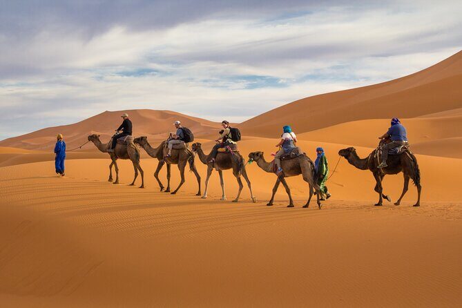7D Desert Private Tour From Marrakech By Fes And Blue Chefchaouen - Why This Tour Offers Good Value