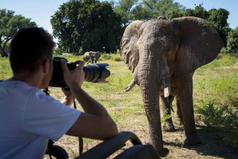 7Days Lake Nakuru Masai Mara Serengeti & Ngorongoro Safari - Practical Details & What You Need to Know
