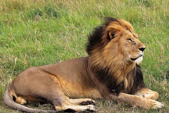 8 Day Bush and Beach Private Holiday Safari - Why This Tour Offers Great Value