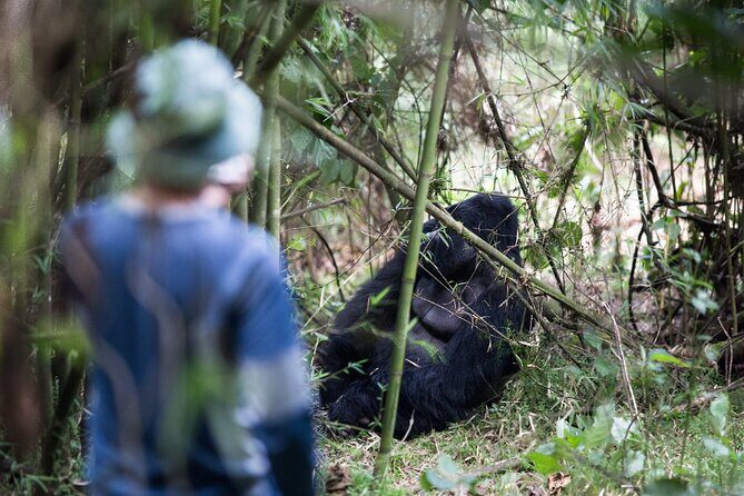 8-Day Classic Uganda Primates & Wildlife Tour - Day 2: Lake Mburo National Park