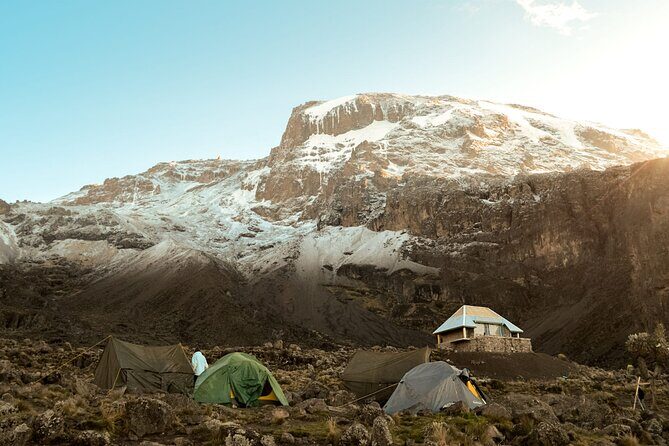 8 Day Climbing Kilimanjaro Via Lemosho Route - The Experience and Itinerary Breakdown