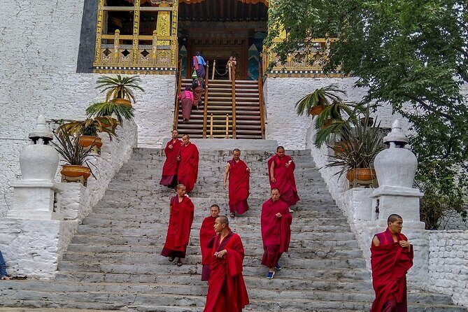 8 Day Cultural Immersion - Who Should Consider This Tour?