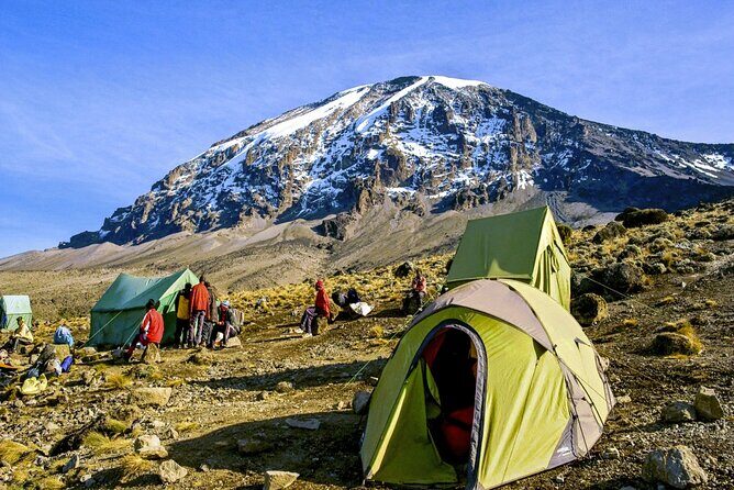 8 Day Mount Kilimanjaro Trekking Lemosho Route - Value for Money and Practical Considerations