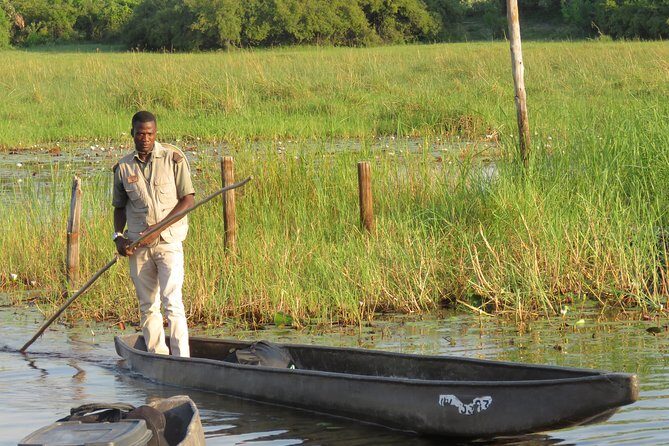 8 Day Okavango Safari - Wilderness Trail (Inner Delta & Moremi) - Authenticity and Value