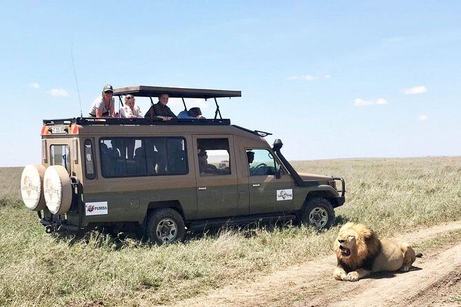 8 Day Spectacular Migration Serengeti mid -Range Tanzania Safari - Exploring the Itinerary in Detail