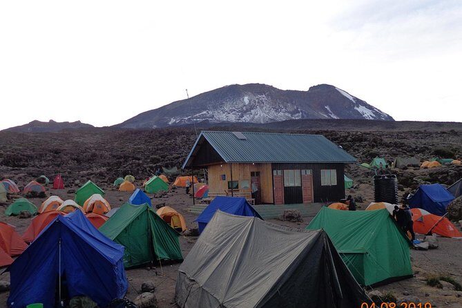 8 Days 7 Nights Kilimanjaro Lemosho Route - Why This Tour Offers Great Value