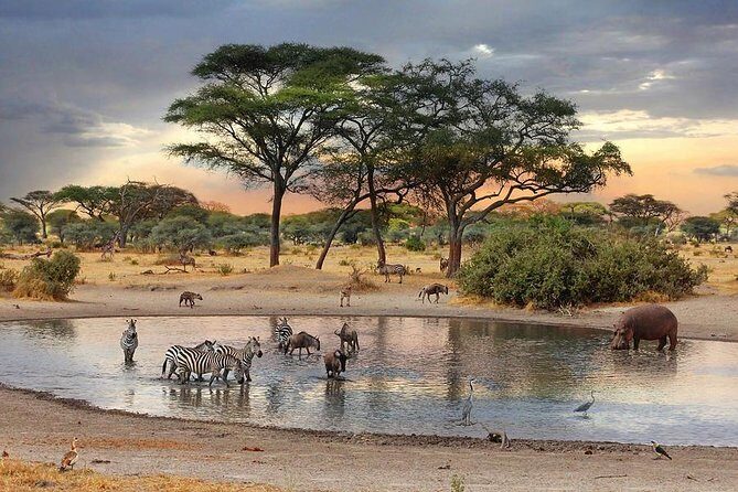 8 Days Best of Kenya and Tanzania Safari from Nairobi - Final Thoughts