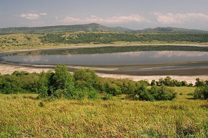 8 Days Gorillas, Primates & Wildlife Safari Uganda Safari - What Do Travelers Say? Authentic Insights from Reviews