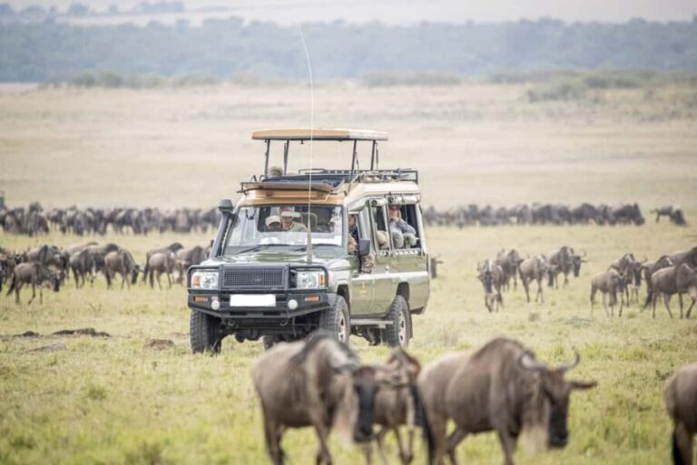 8 Days Great Migration Luxury Safari Mara River Crossing - Value and Considerations