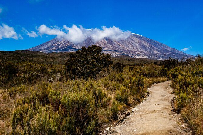 8 Days Guided Private Trekking in Mount Kilimanjaro - High-Altitude Climb to Lava Tower and Barranco Camp