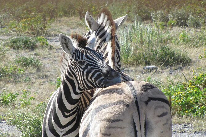 8 Days Mighty Zambezi Expediton in Victoria Falls & Hwange Safari - Authenticity and Value for Money