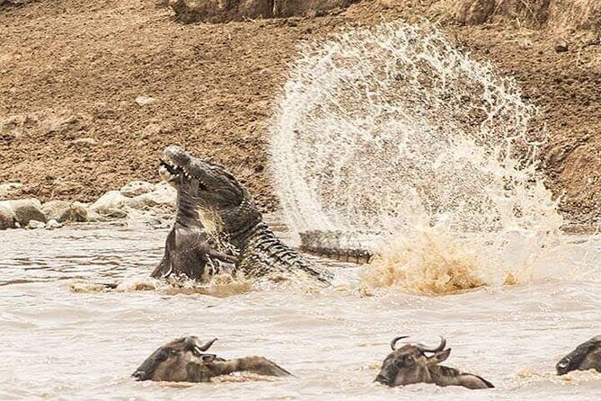 8 Days, Migrations Safari-River crossing -(July to October) - The Itinerary: A Day-by-Day Breakdown