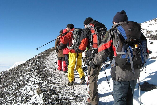 8 Days Mt Kilimanjaro Climb - Lemosho Route - Why This Tour Offers Good Value
