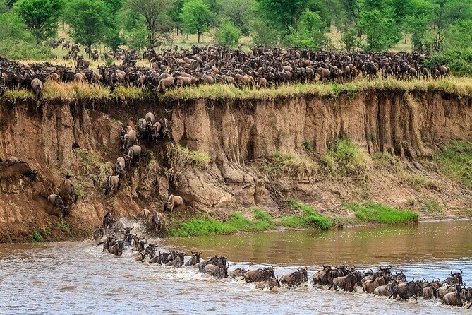 8 Days Serengeti Migration safari - The Value of the Experience