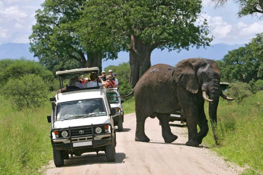 8 days Spectacular Tanzania Northern Circuit Wildlife Safari - What Makes This Safari Stand Out