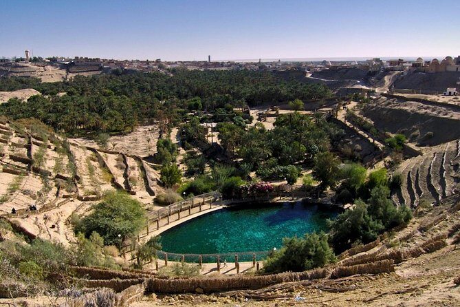 8 Days Tunisia Essential Discovery Private Tour - A Daily Breakdown – What to Expect
