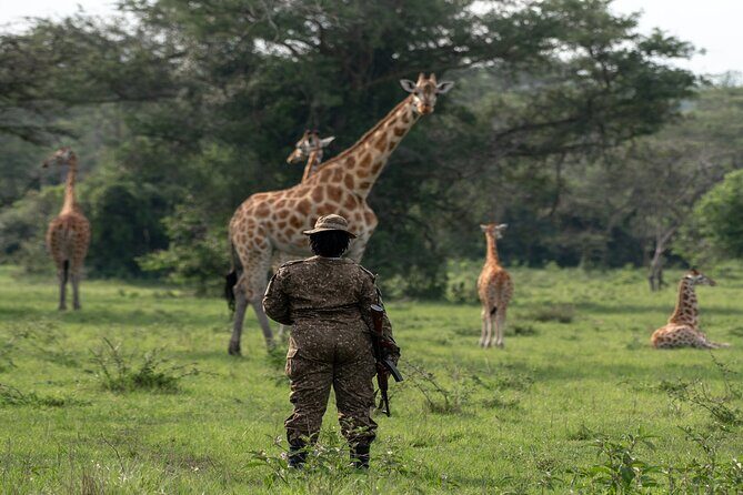 8 Days Uganda Primates Safari - Value and Pricing