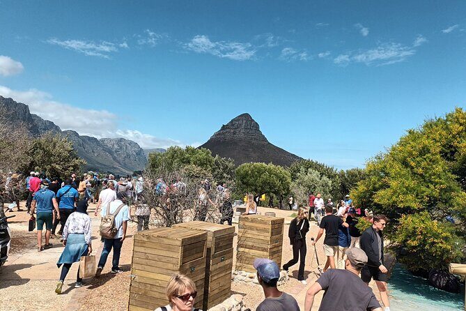 8-Hour Tour in Table Mountain Penguins and Cape of Good Hope - Transportation, Group Size, and the Price