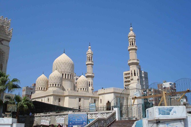 9 Day Egypt Travel Packages Cairo and Alexandria with the White Desert - What the Reviews Say