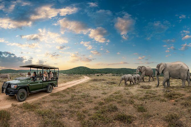 9 day Luxury Kruger Park Safari & Cape Town Tour - What’s the Value?