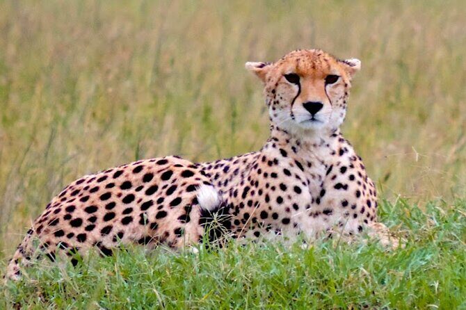 9 Day Private Luxury Spectacle Safari Majestic Kenya Wonderland - Detailed Breakdown of Each Stop